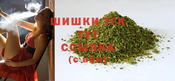 spice Вяземский