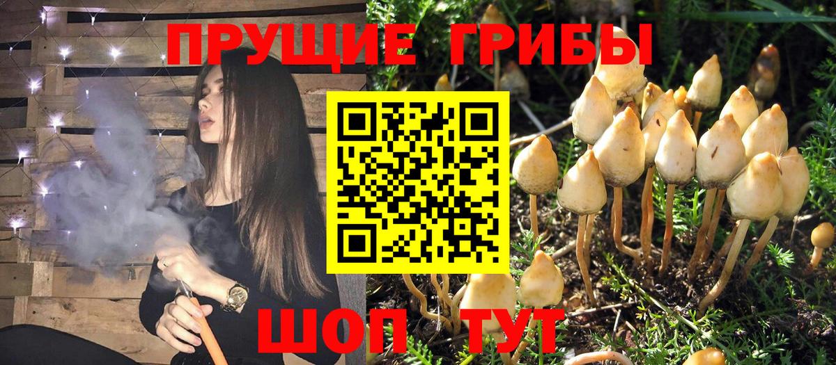 Псилоцибиновые грибы Magic Shrooms Владивосток